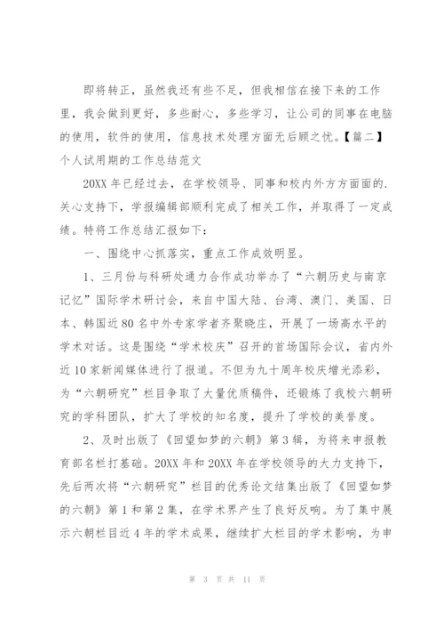 个人试用期的工作总结范文.docx