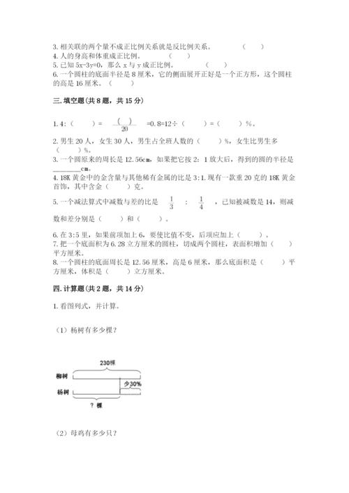 宝鸡市小升初数学测试卷完整版.docx