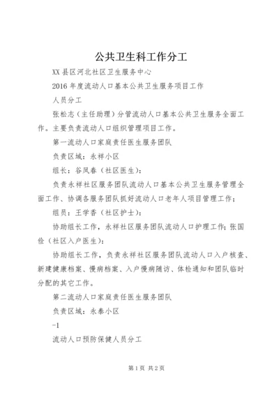 公共卫生科工作分工 (2).docx