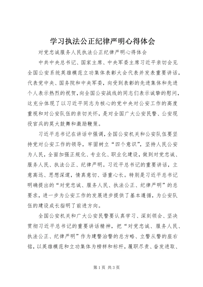 学习执法公正纪律严明心得体会 (3).docx