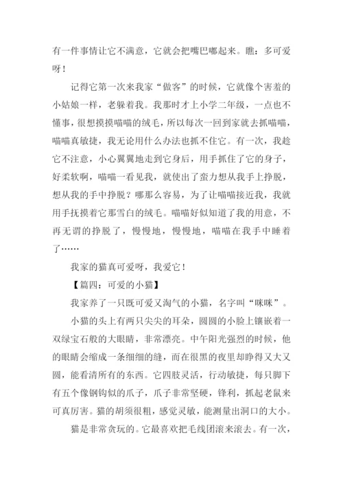 小猫的作文350字.docx