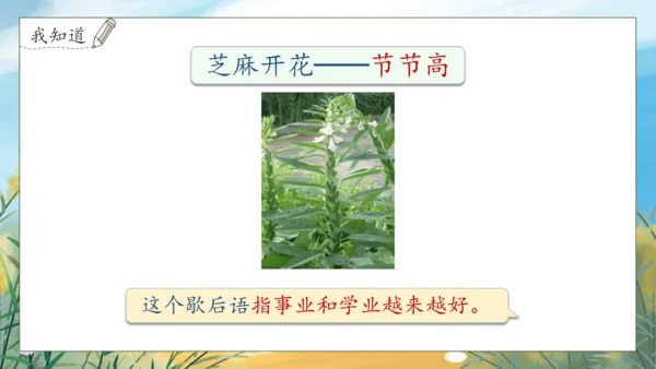 【核心素养】部编版语文一年级下册-语文园地五（课件）