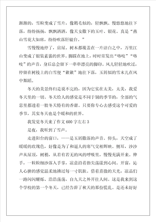 2022年我发现冬天来了作文600字左右