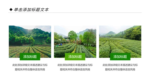 绿色清新茶园茶艺茶道文化动态PPT模板
