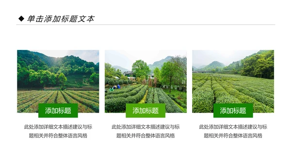 绿色清新茶园茶艺茶道文化动态PPT模板