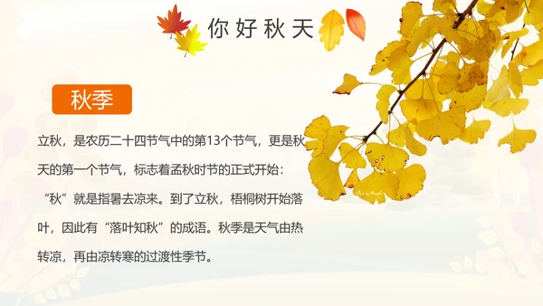 秋天来了银杏树旅游日记秋风季动态PPT