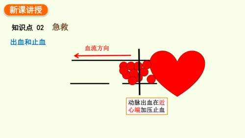 8.2用药与急救-八年级生物人教版下学期同步精品课件(共38张PPT)