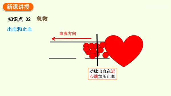 8.2用药与急救-八年级生物人教版下学期同步精品课件(共38张PPT)