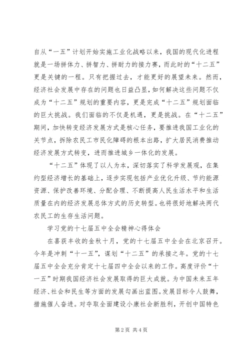 学习十七届五中全会个人心得体会.docx