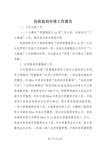 县质监局年度工作报告.docx