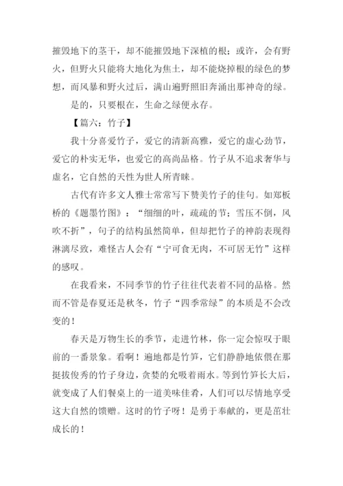 咏物抒怀的作文800字.docx