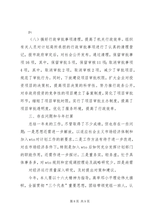 市计划局个人总结 (3).docx