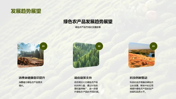 绿色农产品赋能战略
