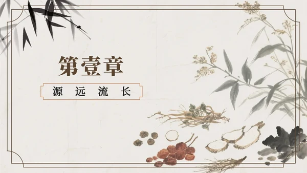 棕色中国风中医的千年传承科普PPT模板
