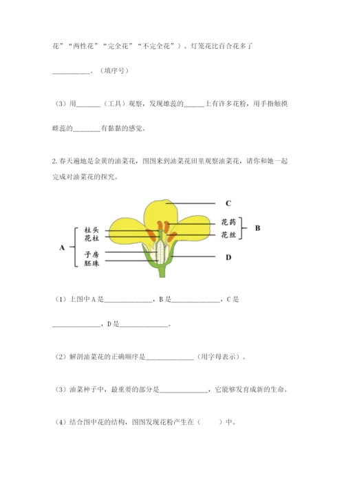 教科版四年级下册科学第一单元《植物的生长变化》测试卷【各地真题】.docx
