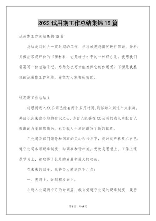 2022试用期工作总结集锦15篇.docx