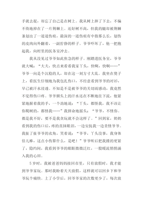 清点被遗忘的爱作文.docx