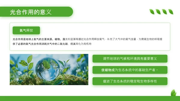 绿色清新风植物的光合作用PPT模板