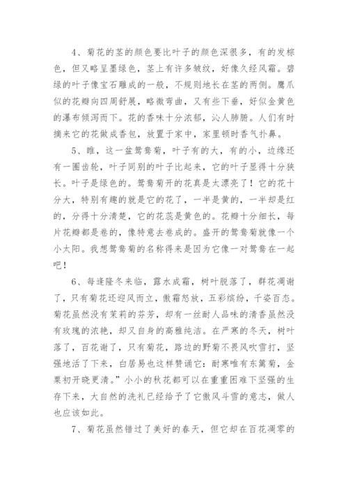 描写菊花的好词好句摘抄.docx