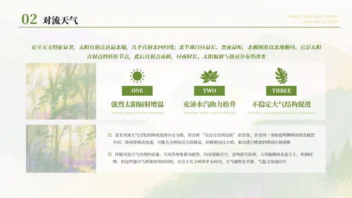 绿色简约清新二十四节气之夏至节气介绍PPT模板