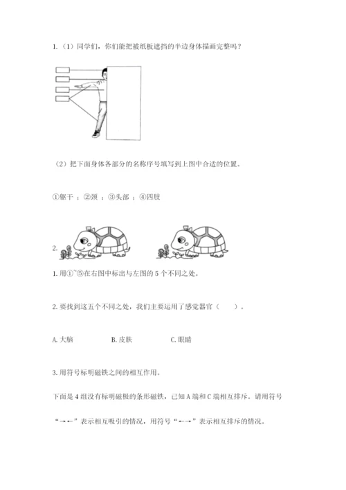 教科版二年级下册科学期末测试卷（有一套）word版.docx