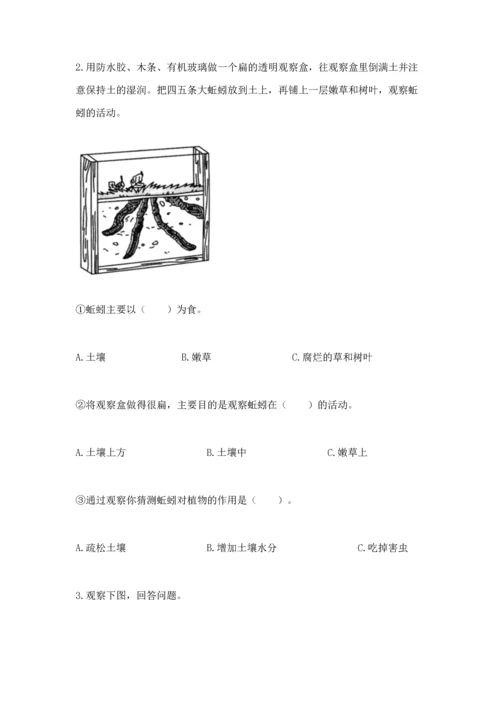 教科版二年级上册科学期末测试卷带答案.docx