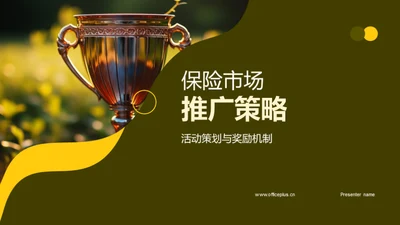 保险市场推广策略