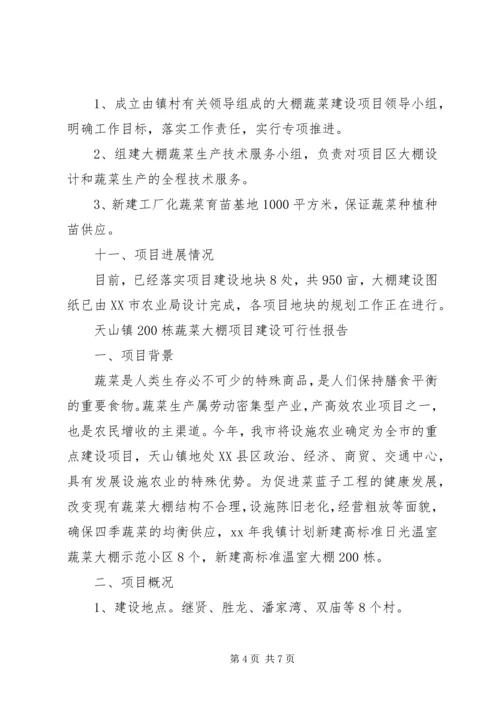 蔬菜大棚项目建设可行性报告 (6).docx