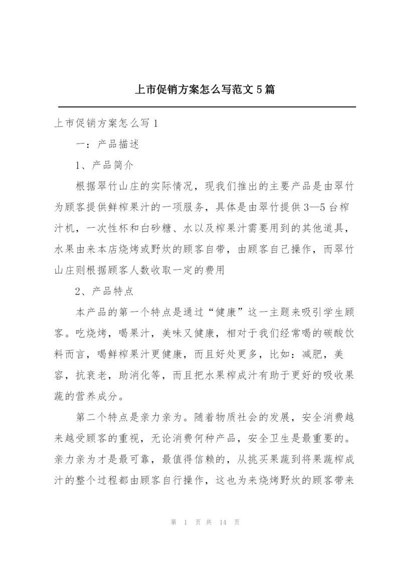 上市促销方案怎么写范文5篇.docx