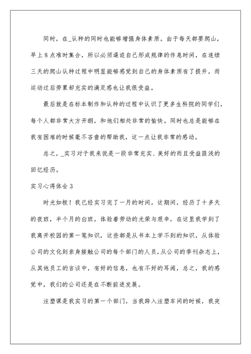 2022实习心得体会