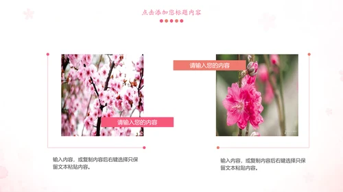 粉红唯美关爱女性健康妇联工作汇报PPT模板