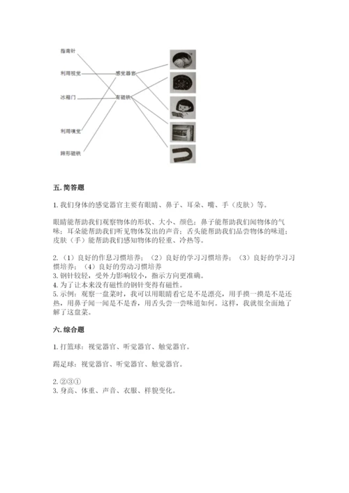 教科版二年级下册科学期末测试卷带答案（实用）.docx