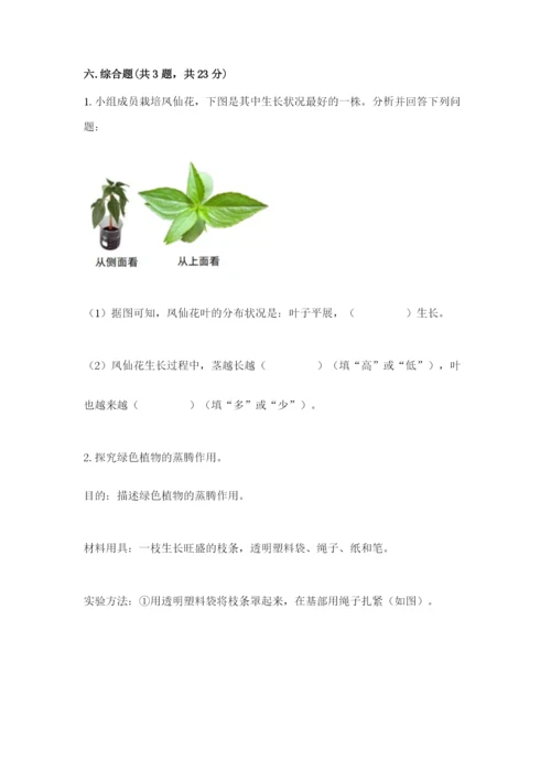 科学四年级下册第一单元《植物的生长变化》测试卷带答案（满分必刷）.docx