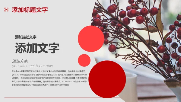 中国风文创产品商业计划书闲云野鹤通用PPT模板
