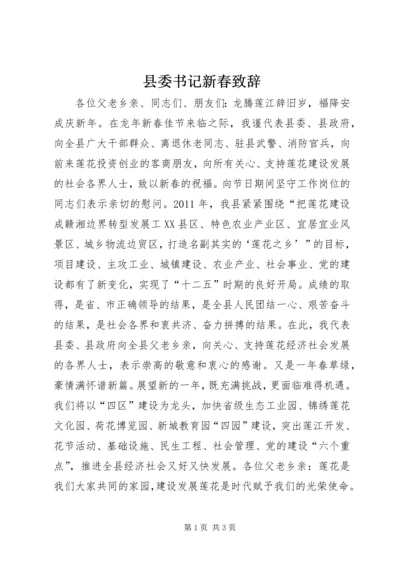 县委书记新春致辞.docx