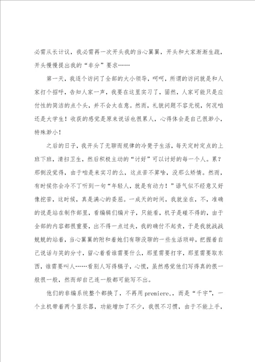 电视台实习记者总结报告