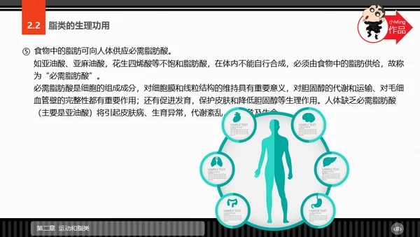 运动营养学通用PPT模板