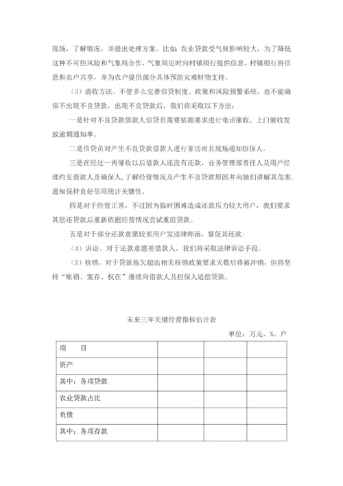 村镇银行三年发展综合规划.docx