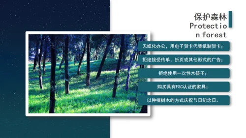 节能环保地球一小时绿色能源通用PPT模板