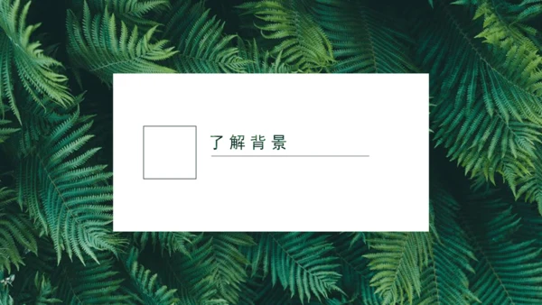 课外古诗词诵读 如梦令（常记溪亭日暮）课件