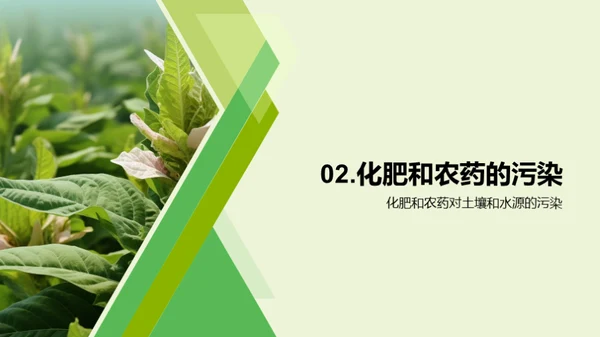 绿色烟草：实现可持续种植