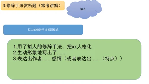 部编版语文五年级阅读理解期中重点知识复习讲解   课件