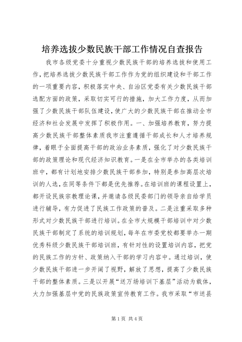 培养选拔少数民族干部工作情况自查报告 (2).docx