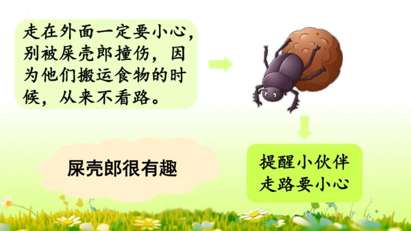 11.我是一只小虫子 课件