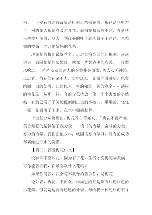 我爱梅花作文300字.docx