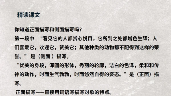 《天鹅》布丰天鹅湖通用PPT课件
