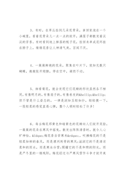 描写鲜花优美的句子.docx