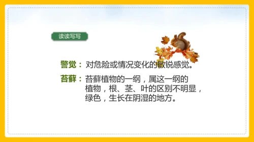 第17课《松鼠》课件