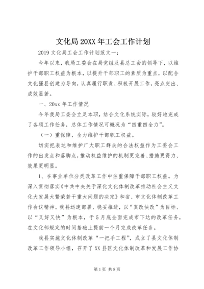 文化局20XX年工会工作计划 (2).docx