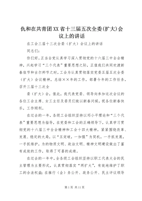 仇和在共青团XX省十三届五次全委(扩大)会议上的致辞.docx